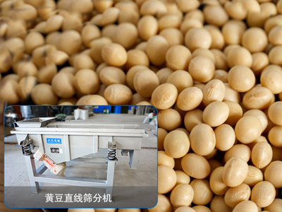 大豆茄子APP视频分机